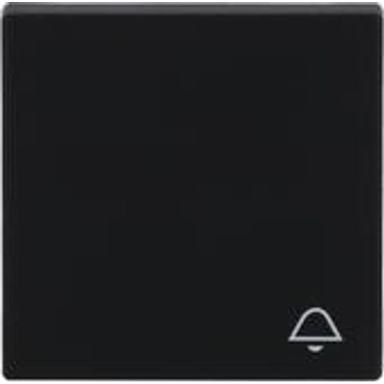 Tootefoto - BJ 2520 KI-885 Wippe m.Aufdruck schwarz matt future linear Abdeckung (2CKA001751A3183)