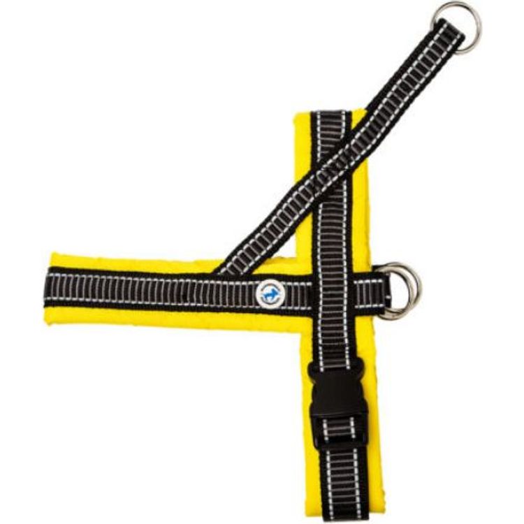 Tootefoto - All For Dogs Szelki dla psa norweskie 70 te r. 83-95cm