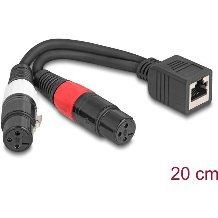 Tootefoto - Delock Adapterkabel RJ45 Buchse zu 2 x XLR 3 Pin Buchse schwarz 20 cm (88178)