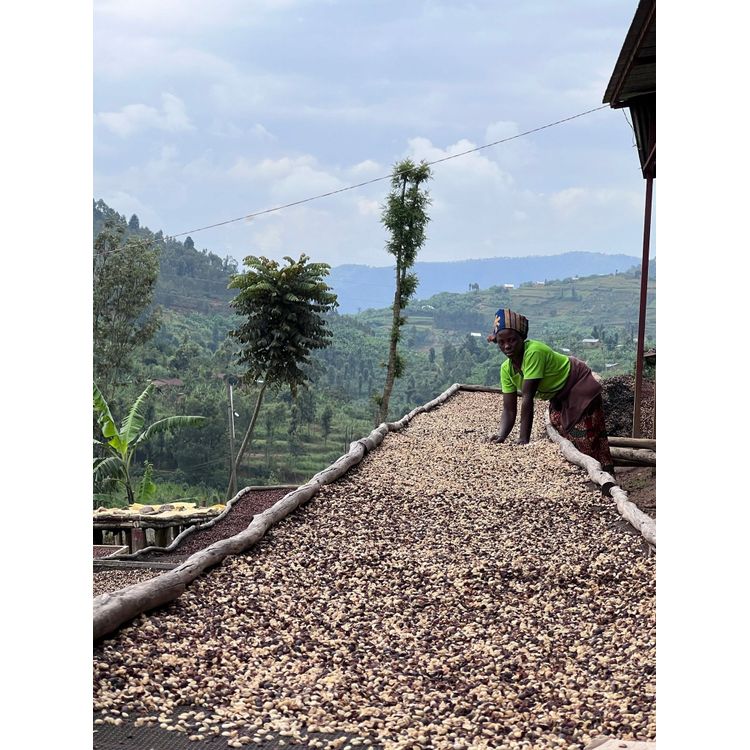 Tootefoto - RWANDA MUHABURA NATURAL ESPRESSO kohvioad 1kg