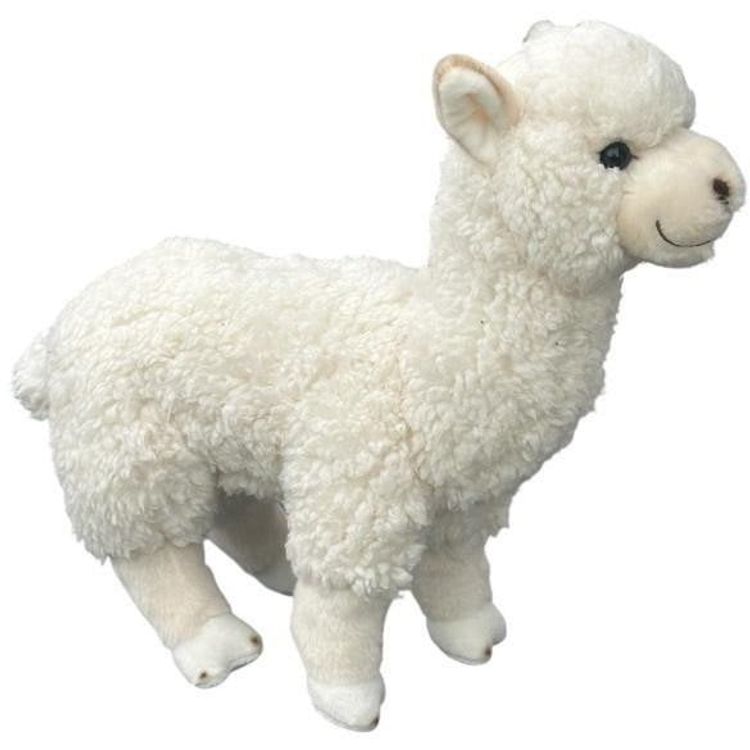 Tootefoto - Saksa koer 65cm 33581