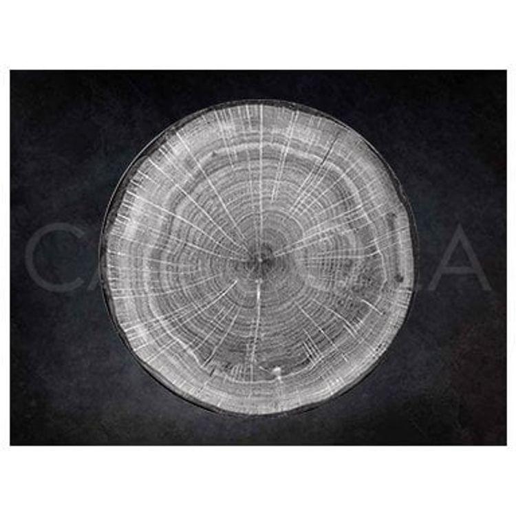 Tootefoto - Woodart lameda plaat hall 29 cm