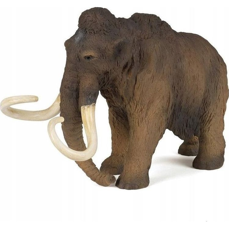 Tootefoto - Papo Mamuti kujuke