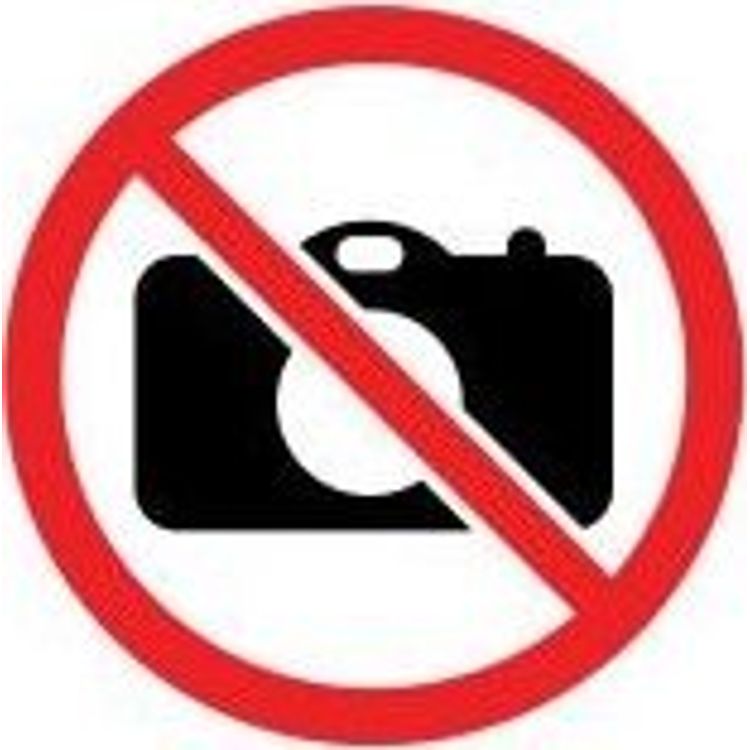 Tootefoto - Vtech Haridusklaver Ptasia Kraina VTECH