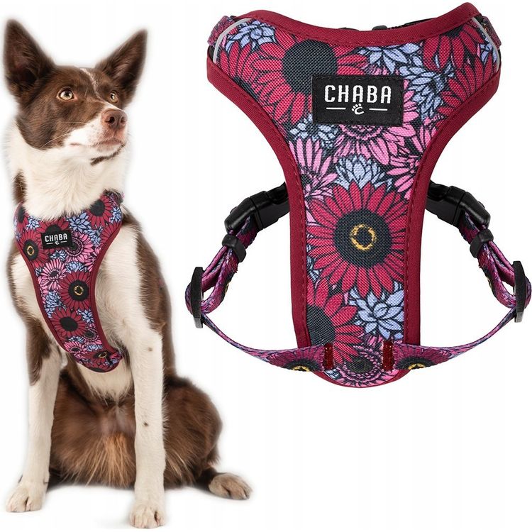 Tootefoto - Chaba CHABA RAKSED KAITSE MUGAVUSLUGU ``M`` LAKOTA 1,6/34-48cm