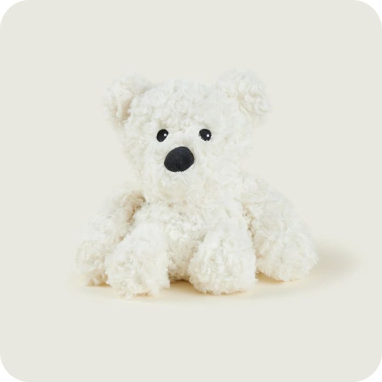 Tootefoto - TOY PLUSH BEAR REG SIZE CP-BEA-1