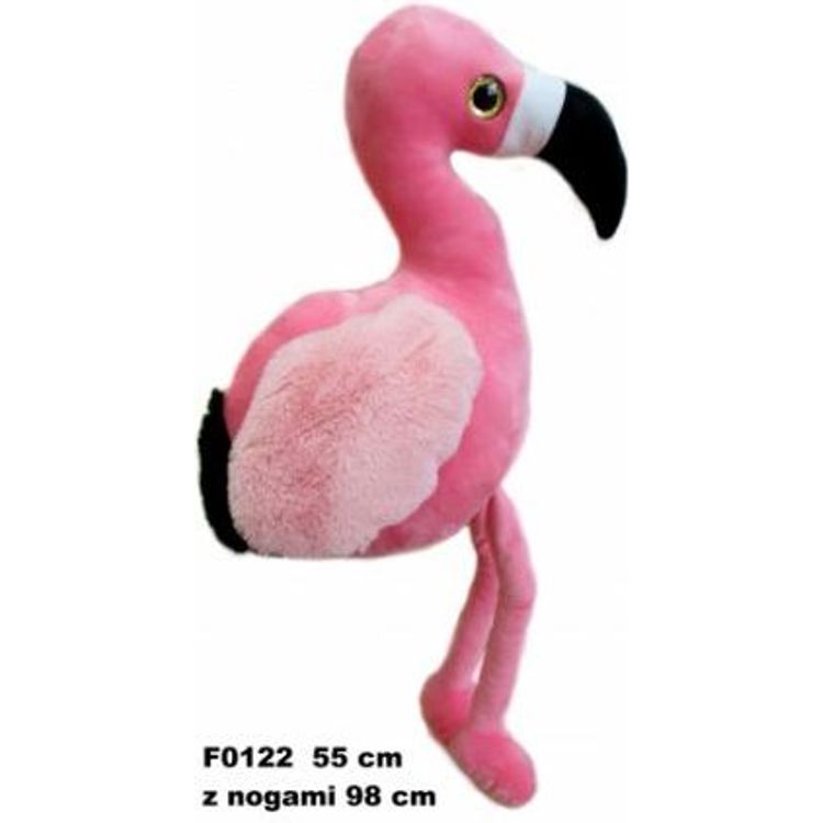 Tootefoto - P ikesep eva leegitsemine 55cm (F0122)