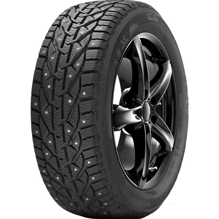 Tootefoto - 205/65R15 Tigar Ice Naast