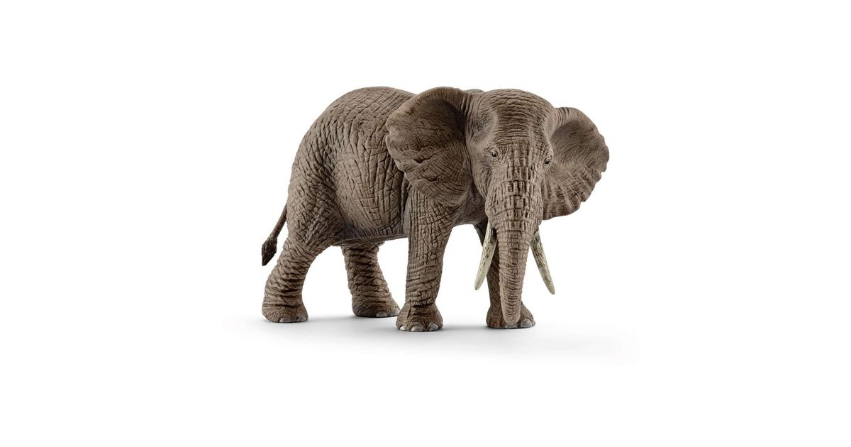 Schleich african shops elephant