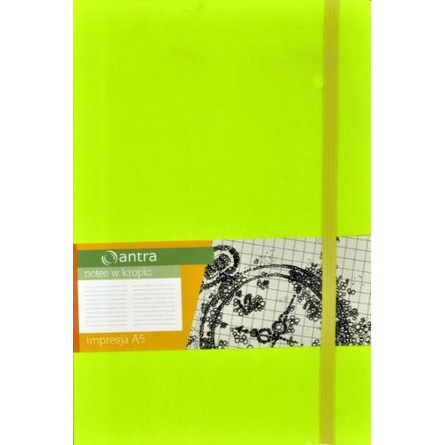 Leitz 47343000 210 X 297 Mm (A4) PVC - Protector (210 X 297 Mm (A4