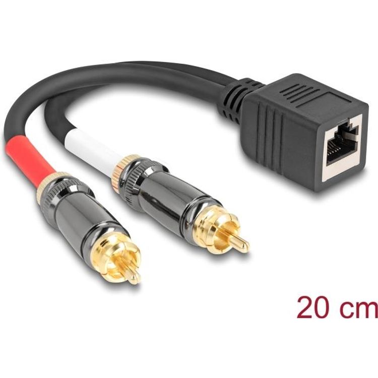 Tootefoto - Delock Adapterkabel RJ45 Buchse zu 2 x Cinch Stecker schwarz 20 cm (88172)