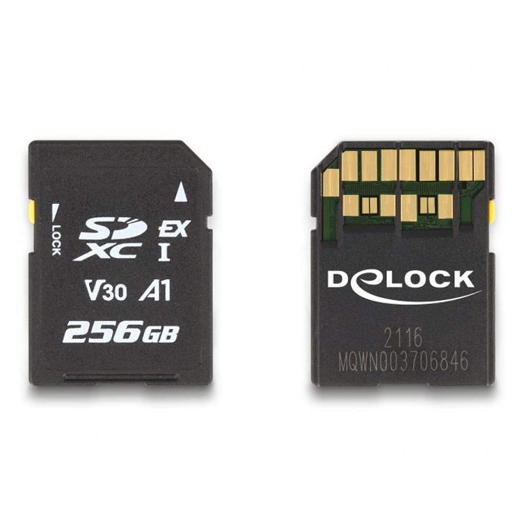 Tootefoto - DeLOCK 54091 m lukaart 256 GB SD UHS-I