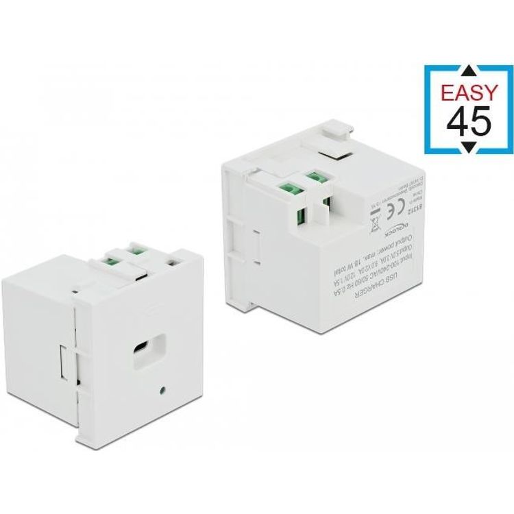 Tootefoto - DeLOCK 81312 pistikupesa USB C Valge