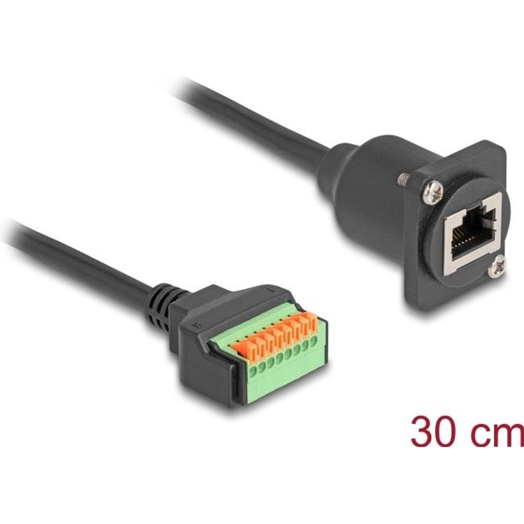 Tootefoto - Delock D-Typ Kabel RJ45 Buchse zu Terminalblock mit Drucktaster Cat.5e schwarz 30 cm (88153)
