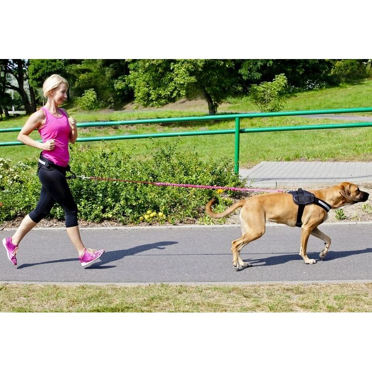 Tootefoto - Dingo strap lanyard with shock absorber and handle, 170 cm long - 14695