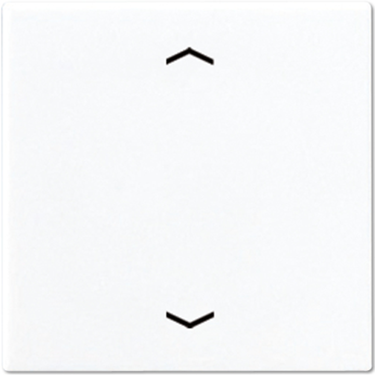 Tootefoto - JUNG A 590 P WW elektril liti