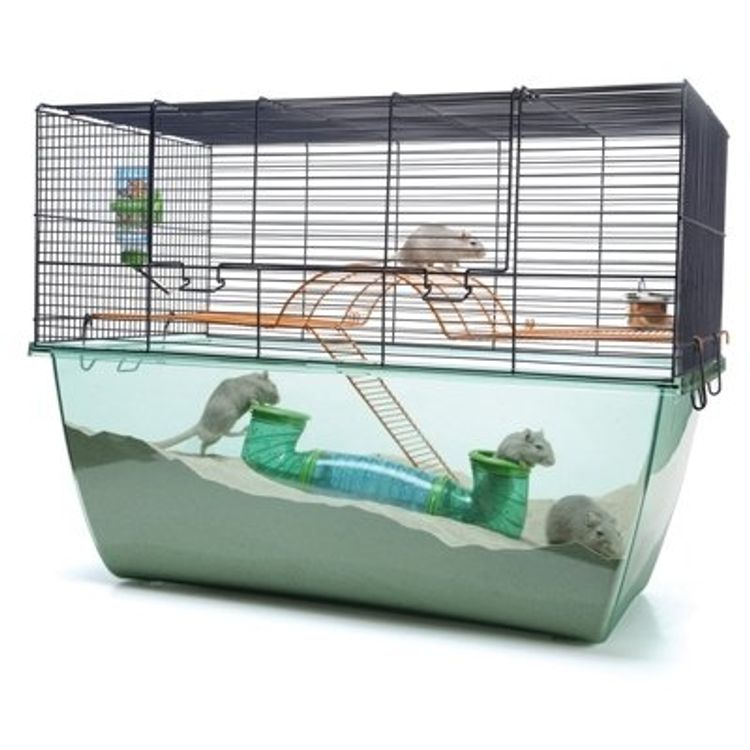 Tootefoto - Savic Habitat XL 70x37x56 sinine traat