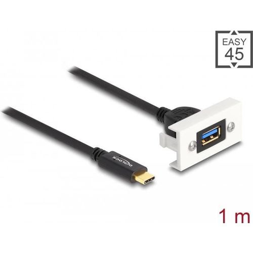 Delock Easy 45 Module Superspeed Usb 10 Gbps Usb 32 Gen 2 Usb Type A Female To Usb Type C 4884