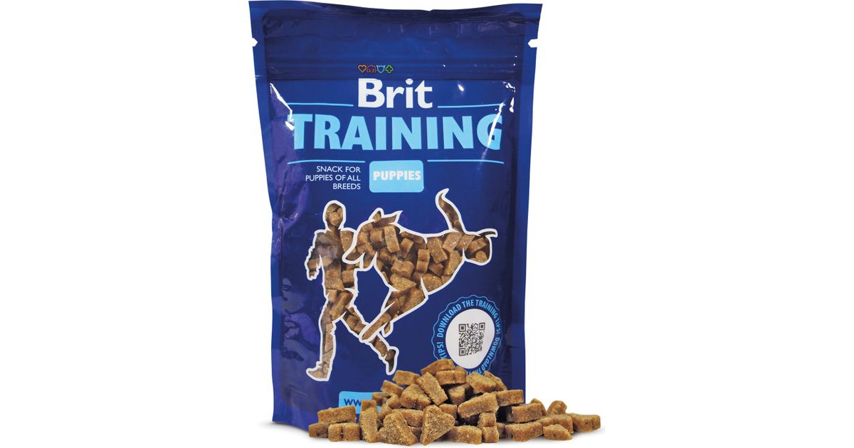 Brit store training puppies