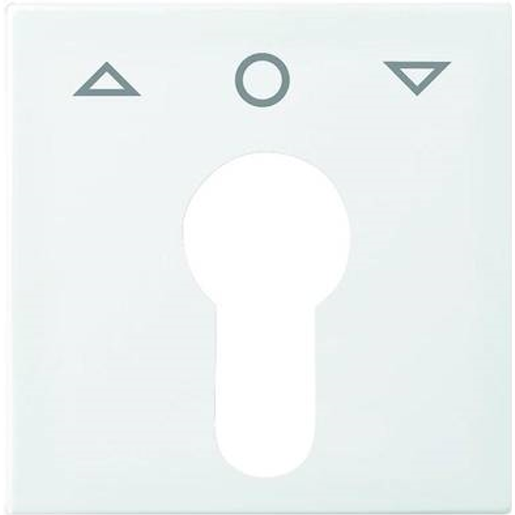 Tootefoto - Busch-Jaeger Abdeckung Schl sselschalter, Schl sseltaster Busch-balance SI Alpinwei 2557 PZ-914-101 (2557 PZ-914-101)