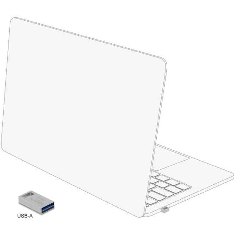 Tootefoto - Delock - USB-Flash-Laufwerk - 256GB - USB 3,0 (54006)