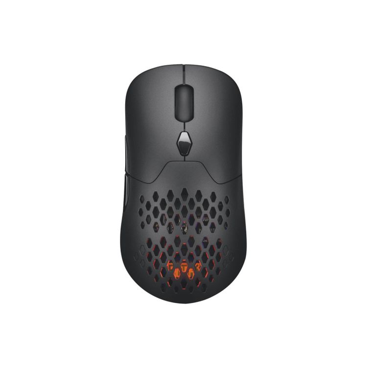 Tootefoto - Silver Monkey X Vervet