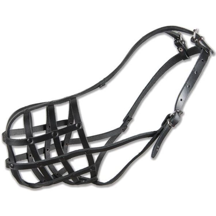 Tootefoto - Dino Kaganiec Sk rzany Nitowany - 34 Rottweiler Du y