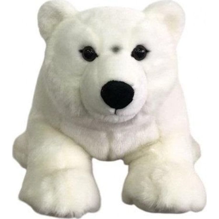 Tootefoto - J karu 62 cm