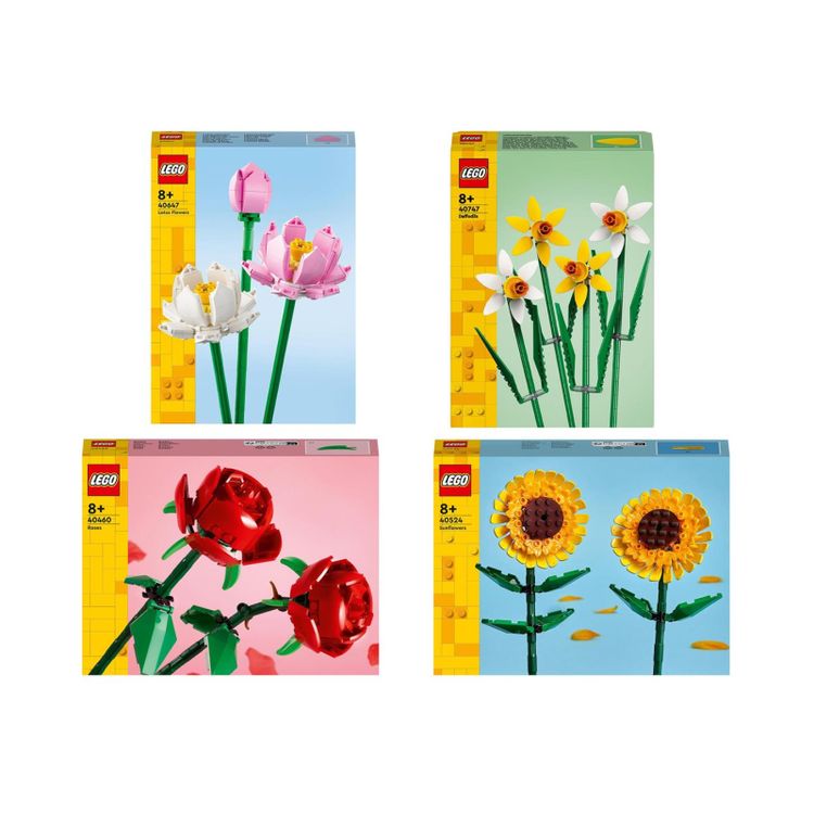 Tootefoto - LEGO Iconic Set