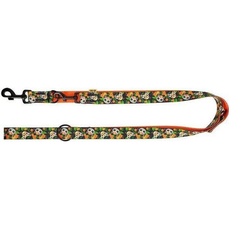 Tootefoto - DINGO LEASH REG. CITY CHIAPAS 3.0 x 220cm