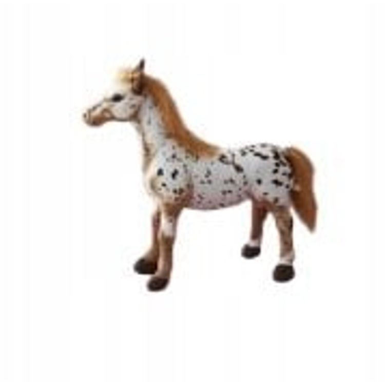 Tootefoto - Tarantowaty horse 55cm
