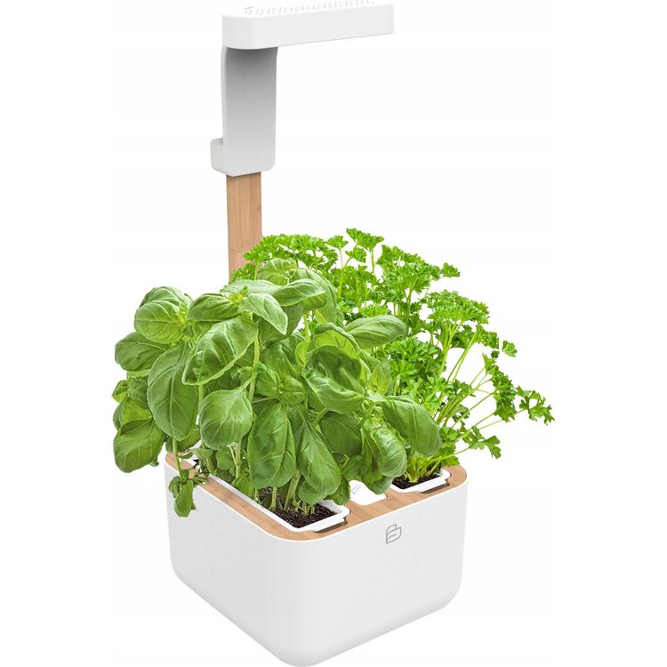 Tootefoto - V ritable Botaneo - Automatick Kv tin + 2 Bylinkov n pln