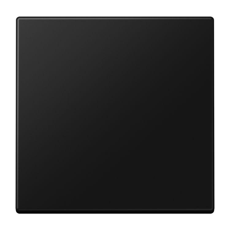 Tootefoto - JUNG LS1700SWM mberl litusplaat ja pistikupesa kate