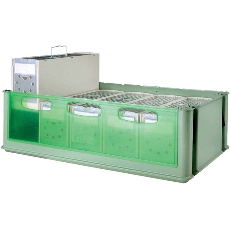 Tootefoto - ART-MET Maxi Tino, karp, 5 kanduriga, lindudele, roheline, 66,8 x 34,3 x k rgus21 cm