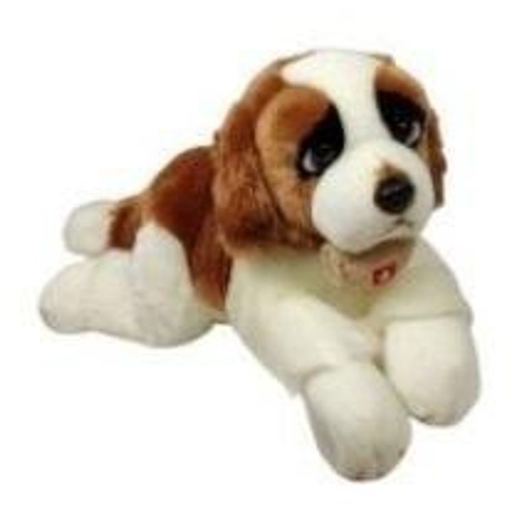 Tootefoto - Bernardyn z beczk 61cm