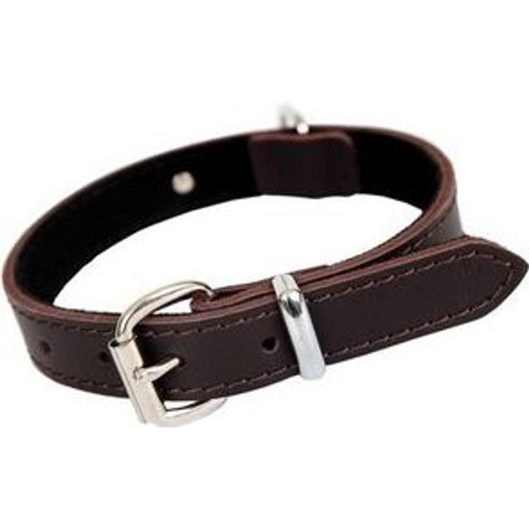 Tootefoto - Dingo COLLAR SK. ENGLISH 4x70 BROWN
