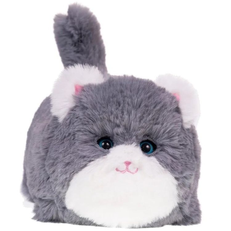 Tootefoto - Interaktywny kot szary