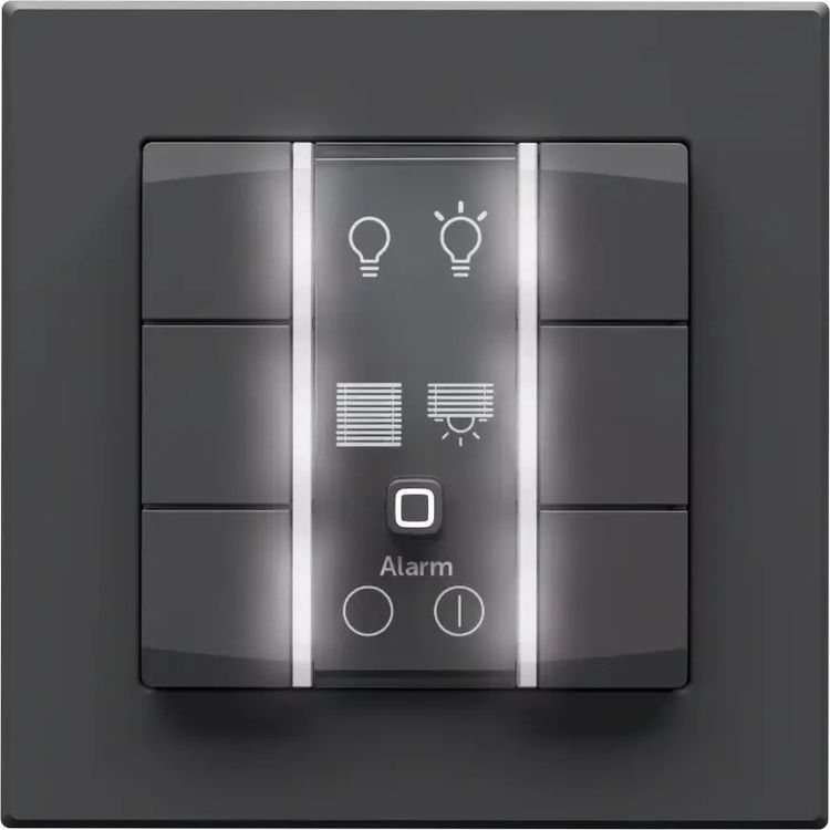 Tootefoto - Homematic IP Wandtaster - 6-faasiline, 230 V, antrasiit