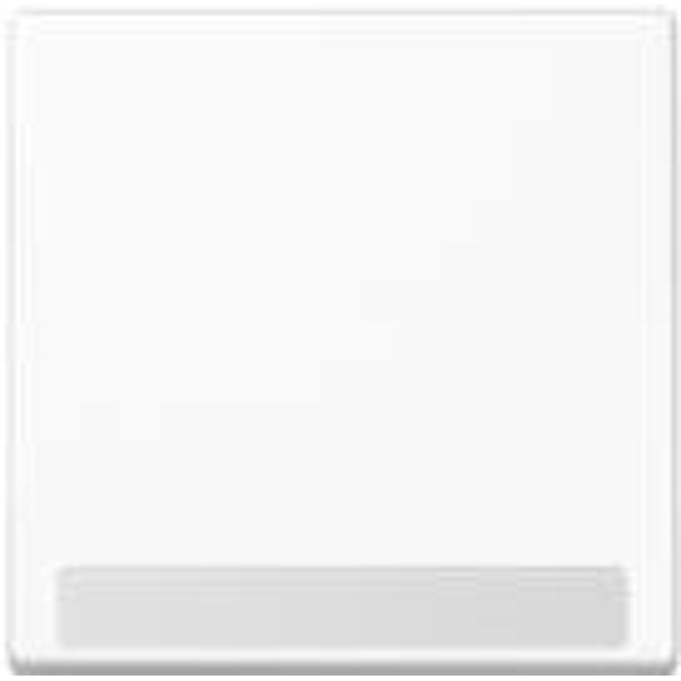 Tootefoto - JUNG A590BFNAWW mberl litusplaat ja pistikupesa kate