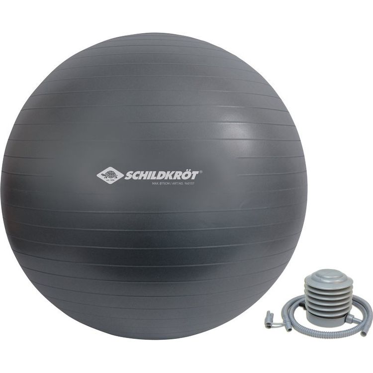 Tootefoto - Schildkr t Fitness 960157 treeningpall 75 cm Hall T issuurus
