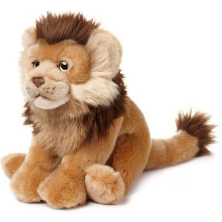 Tootefoto - Neotilus 15192047 pehme m nguasi