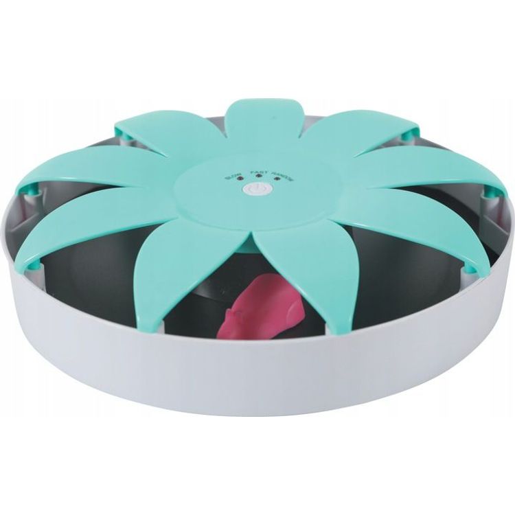 Tootefoto - Zolux Cat Player 3 kassim nguasi