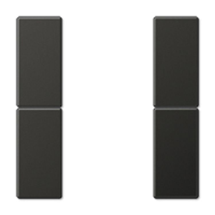 Tootefoto - JUNG AL 2502 TSA AN