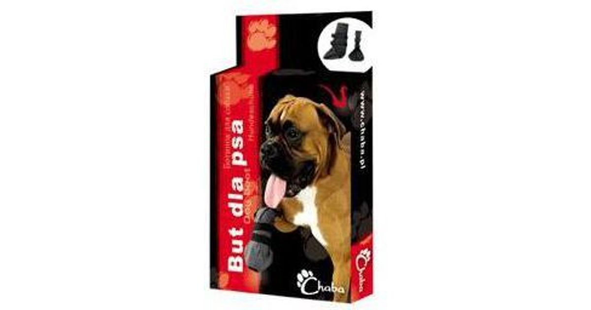 Buy dog best sale in installment