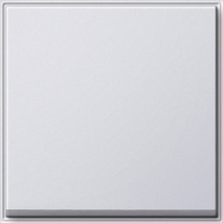 Tootefoto - GIRA Wippe f.Wippsch.u.Wipptaster 029666 TX_44 reinweiss 029666 (029666)