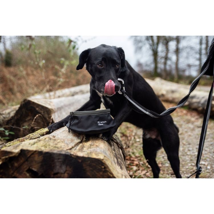 Tootefoto - Kokkupandav koeratoidukauss, must