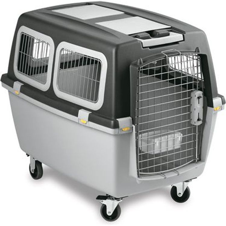 Tootefoto - Zolux Stefanplast Transporter Gulliver 6 IATA Plus