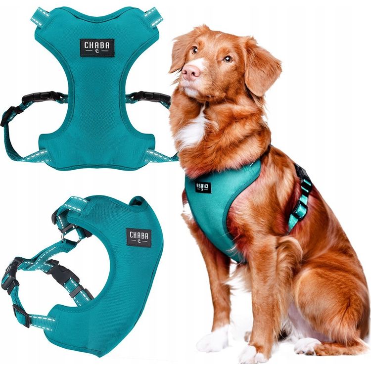 Tootefoto - Chaba CHABA GUARD COMFORT XL rakmed 2,5cm/64-76cm NAVY