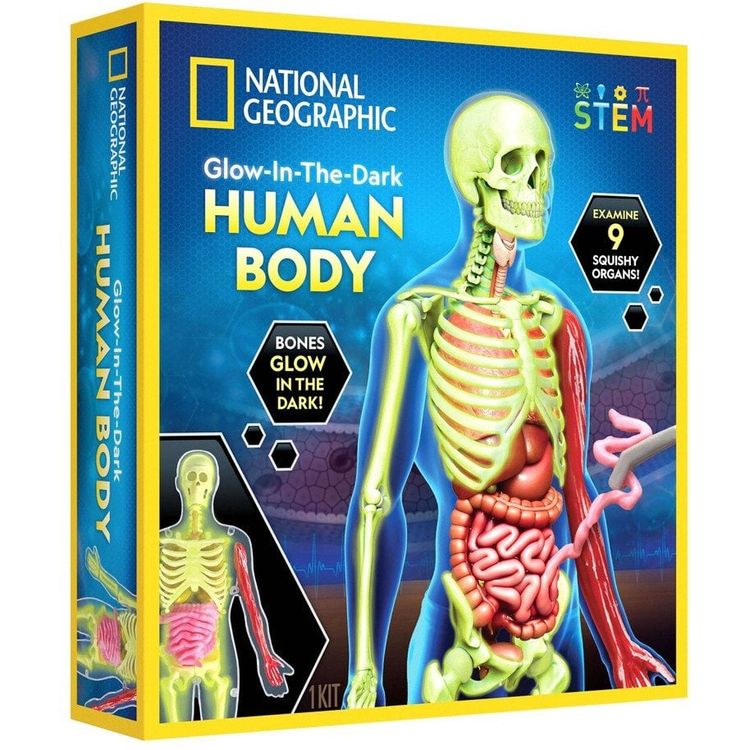Tootefoto - National Geographic National Geographic Human Body Science Kit
