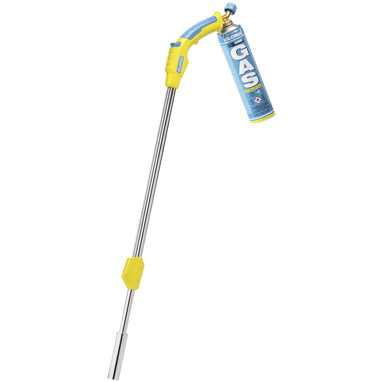 Tootefoto - GLORIA 000295.0000 umbrohup leti